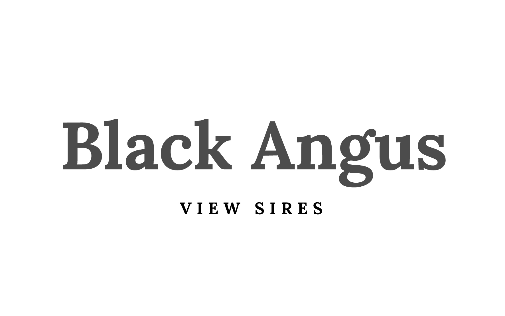 Black Angus Sires