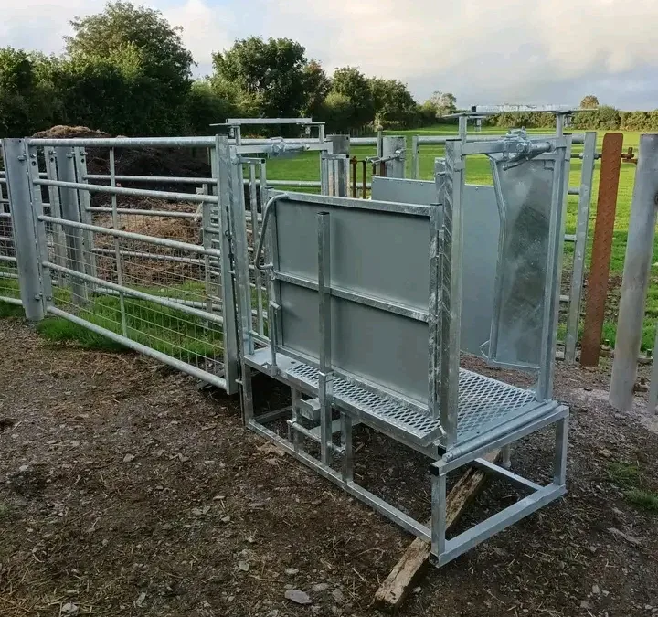 Sheep/Lamb Docking Crate with self locking head yolk.